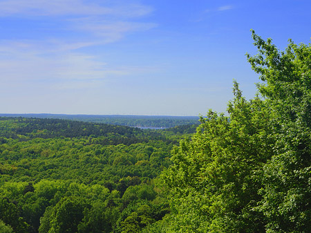 Aussicht vom Teufelsberg - Berlin (Berlin)