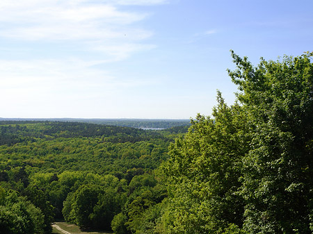 Aussicht vom Teufelsberg - Berlin (Berlin)