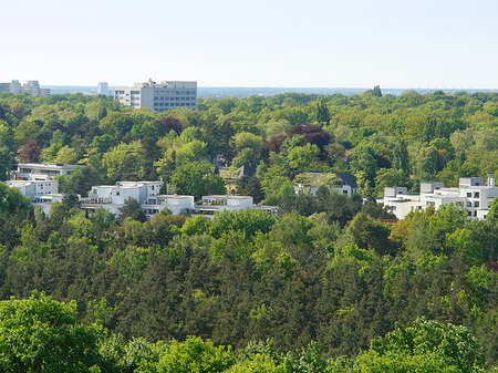 Aussicht vom Teufelsberg - Berlin (Berlin)