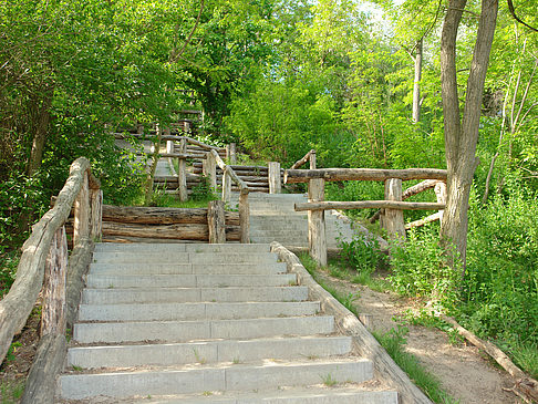 Treppe auf den Drachenfliegerberg - Berlin (Berlin)