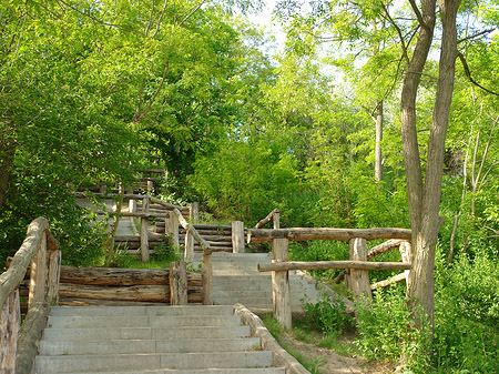 Treppe auf den Drachenfliegerberg - Berlin (Berlin)