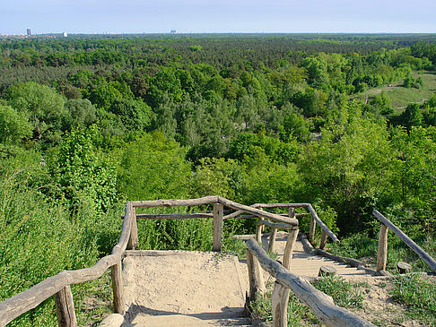 Treppe auf den Drachenfliegerberg - Berlin (Berlin)