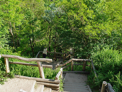 Treppe auf den Drachenfliegerberg Fotos