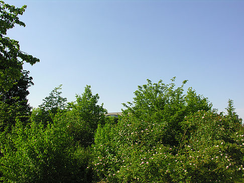 Foto Tiergarten