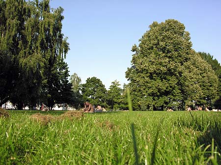 Treptower Park Foto 