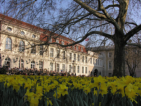 Schinkelklause - Berlin (Berlin)