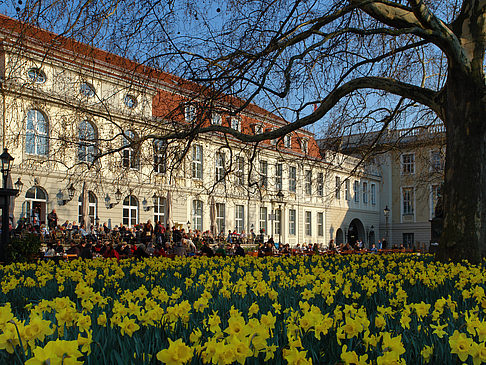 Schinkelklause - Berlin (Berlin)