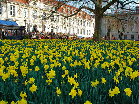 Schinkelklause - Berlin (Berlin)