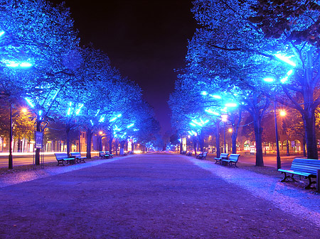 Unter den Linden - Berlin (Berlin)