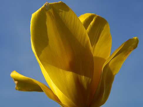 Foto Bundesgartenschau