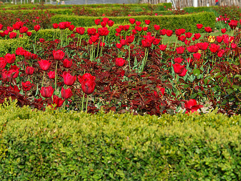 Foto Bundesgartenschau