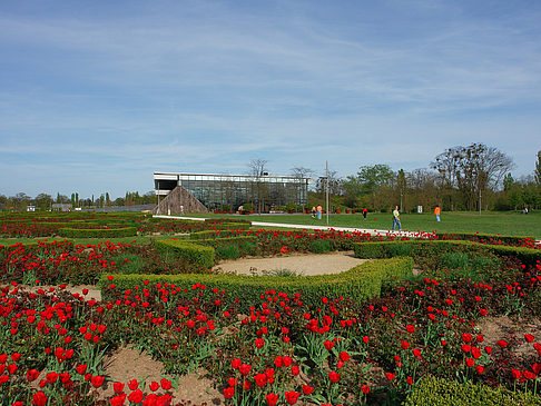 Bundesgartenschau