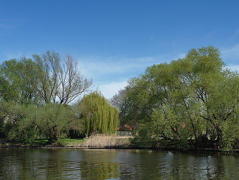 Fotos Fluss | Potsdam