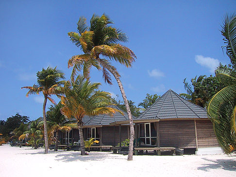 Fotos Der weiße Sandstrand der Malediven