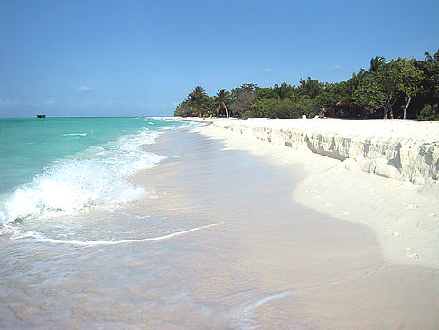 Foto Der weiße Sandstrand der Malediven - 