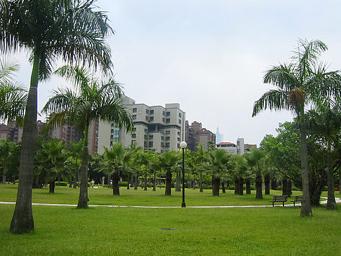 Daan Park - Taiwan (Taipeh)