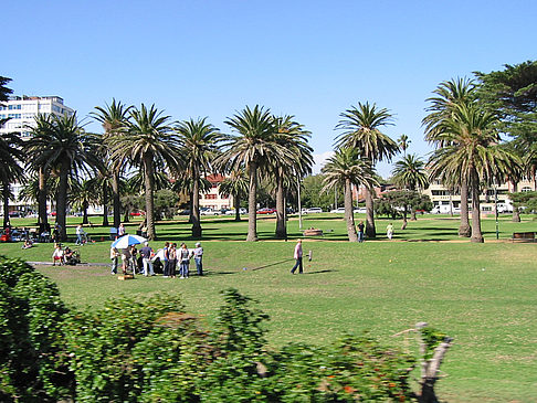 Park - Viktoria (Melbourne)