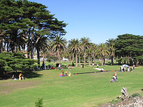 Park - Viktoria (Melbourne)