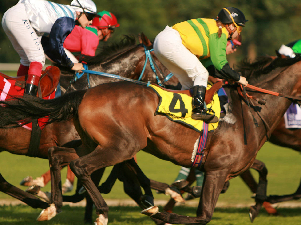 Foto Galopprennbahn Hoppegarten - Hoppegarten